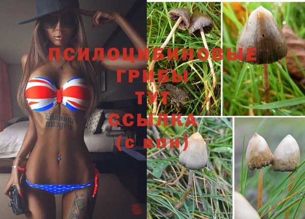 каннабис Абдулино