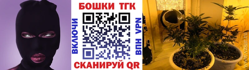 Марихуана план  МЕГА сайт  Серафимович 